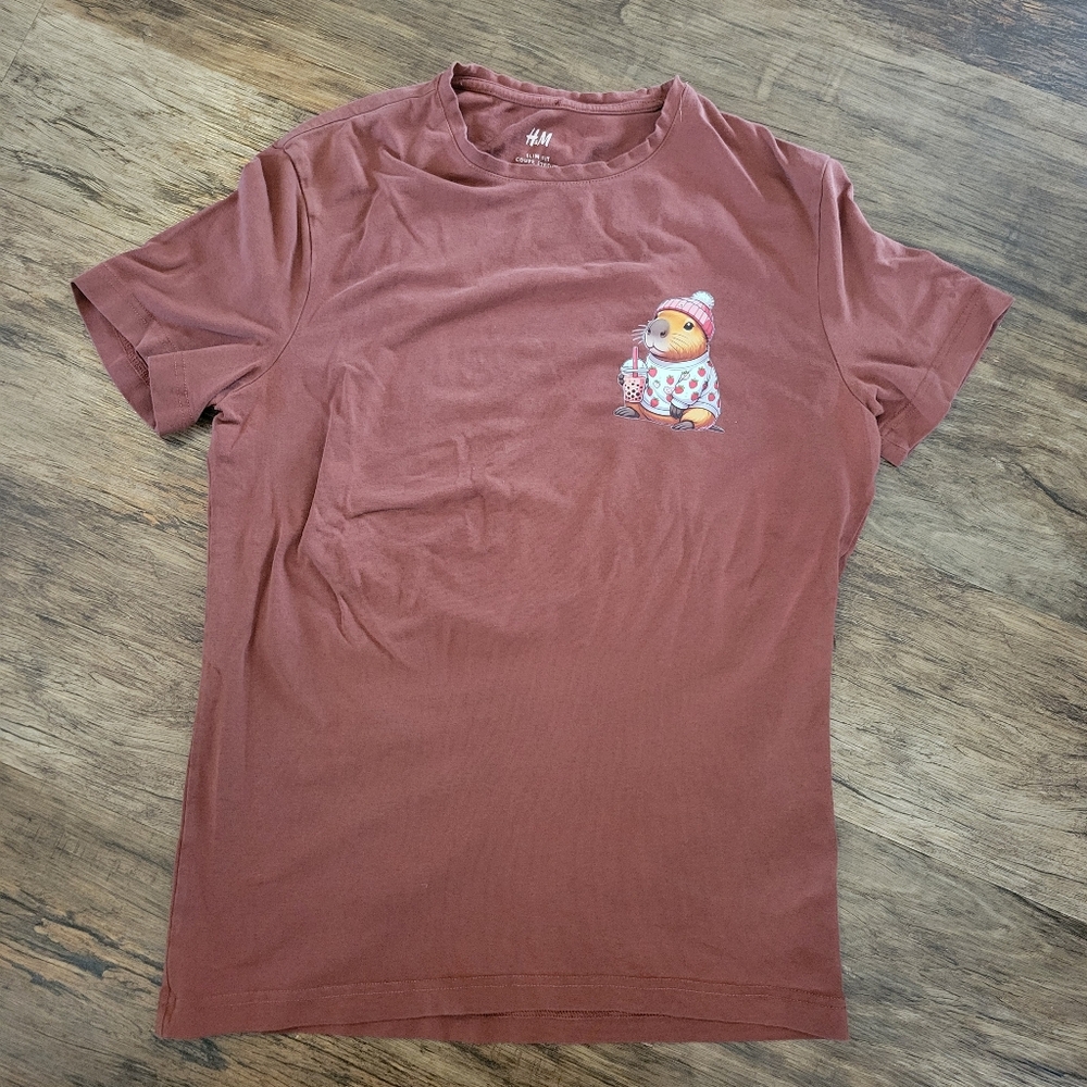 H&M Chestnut T-Shirt with Cute Capybara In Strawberry Sweater With Bobba - Md